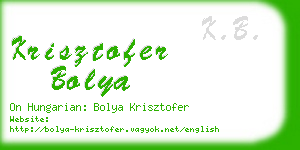 krisztofer bolya business card